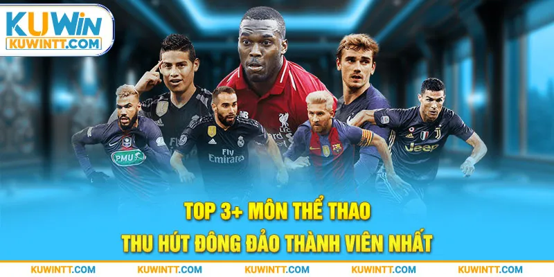 Top 3+ môn thể thao thu hút đông đảo thành viên nhất